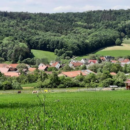 Fewo Zieger - Urlaub In Franken Buttenheim Exterior foto